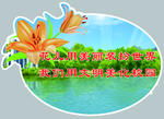 异形