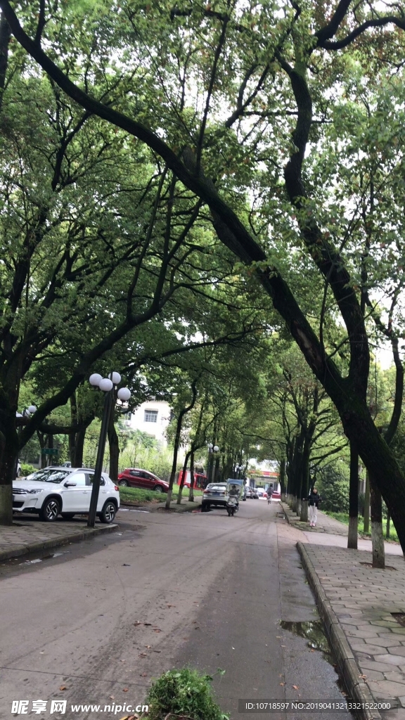 户外美景