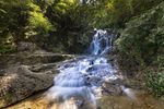 丛林水流瀑布