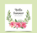 水彩绘夏季扶桑花卡片