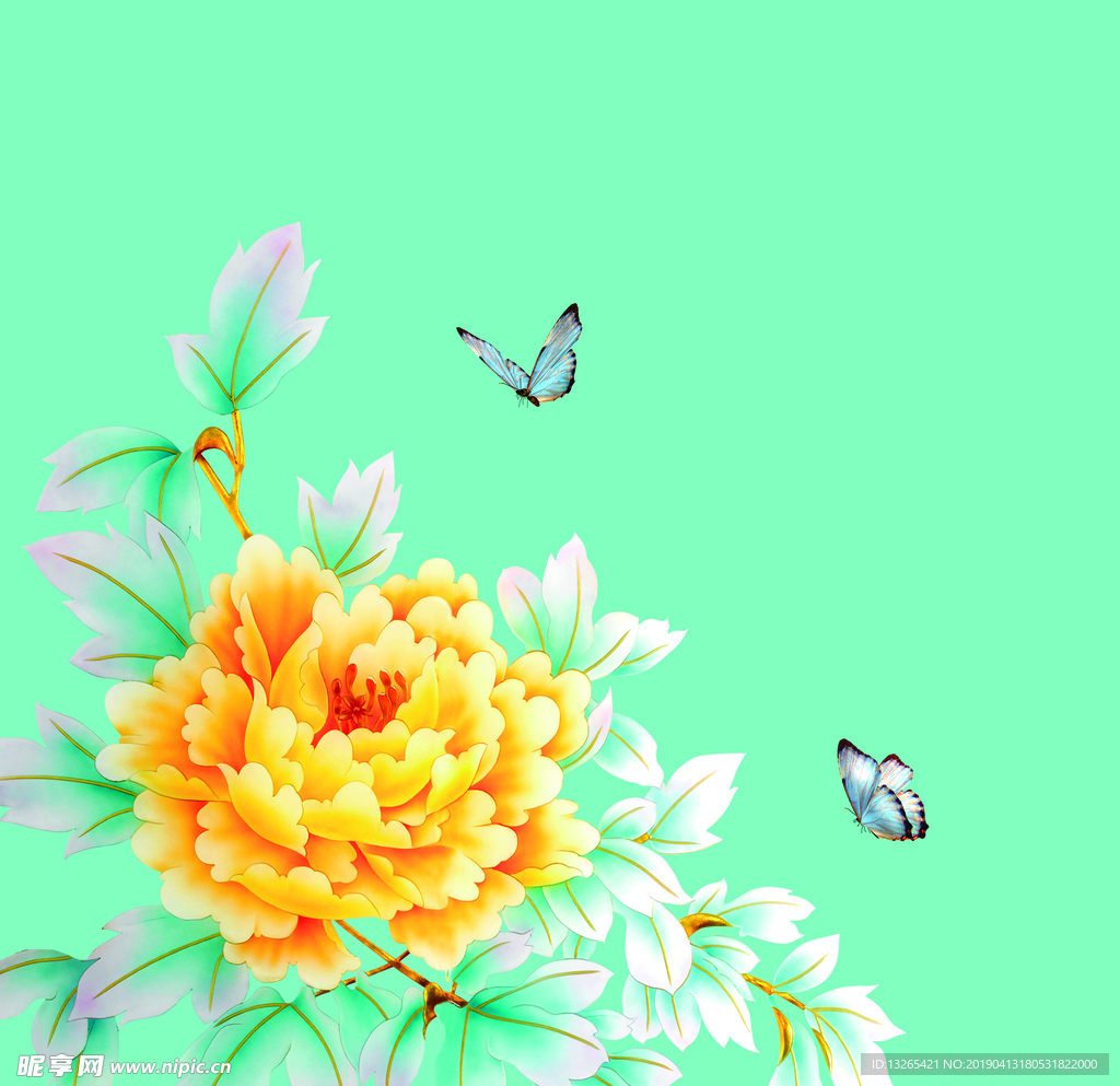 牡丹花