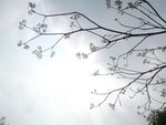 蓝天