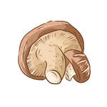 卡通香菇