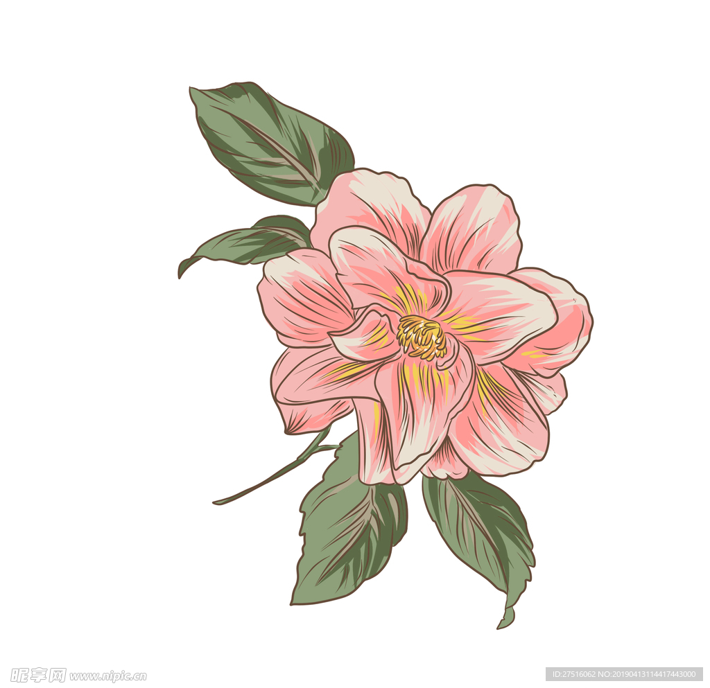 花朵