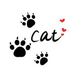 猫爪印
