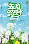 你好5月