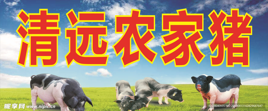 农家土猪