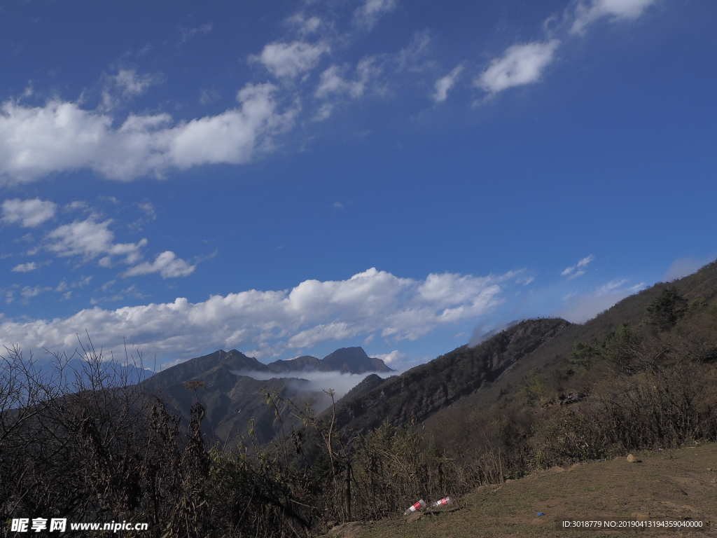 牛背山