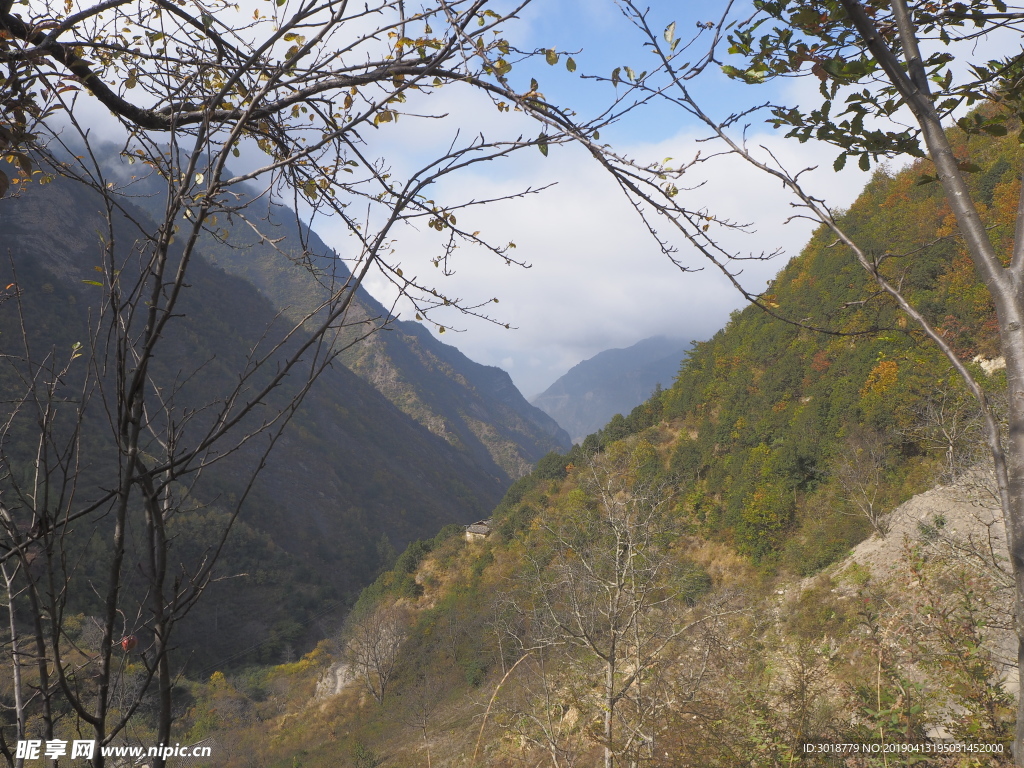 牛背山