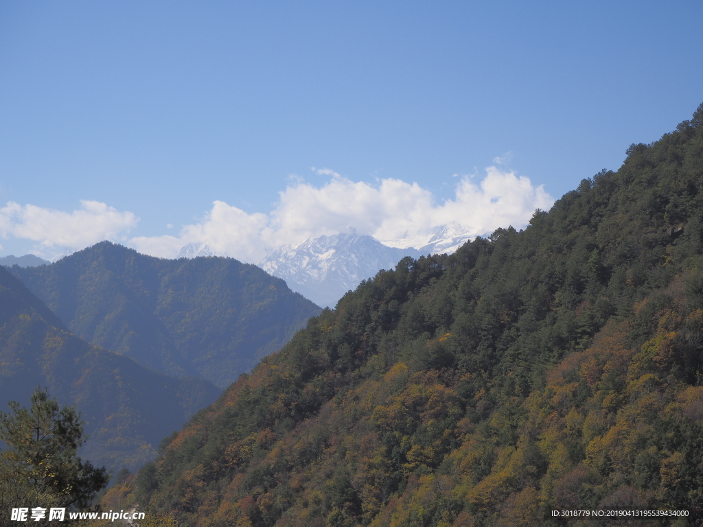 牛背山