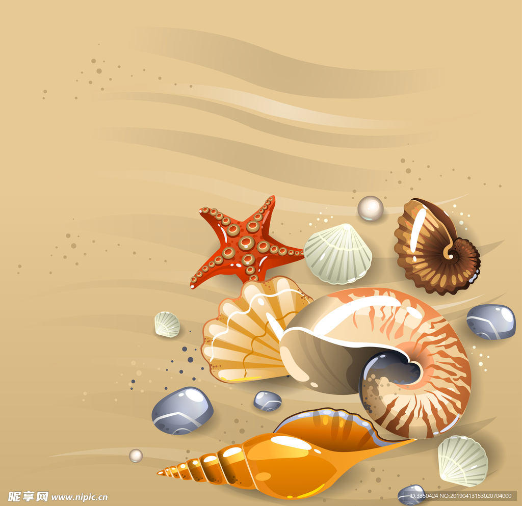 精美沙滩奇观贝壳海螺素材
