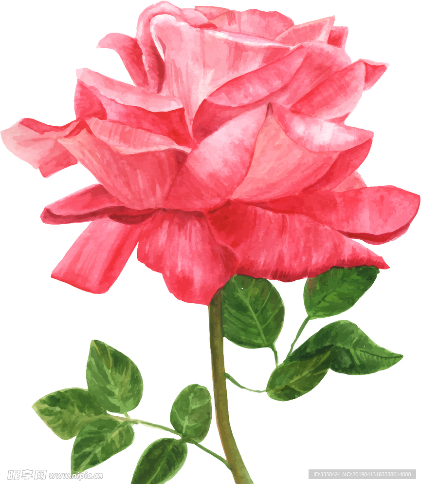 精美玫瑰彩绘玫瑰花设计矢量素材