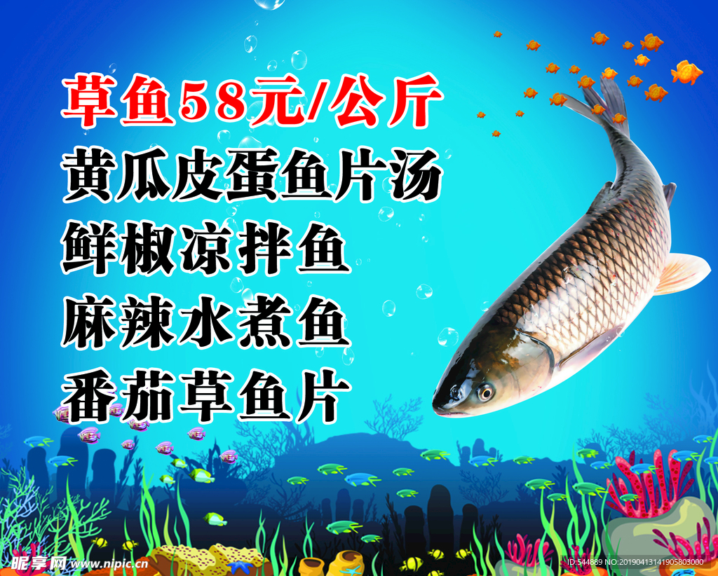 草鱼