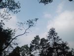 蓝天