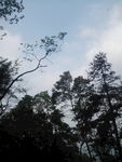 蓝天