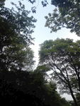 蓝天