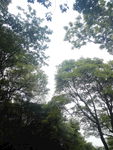 蓝天