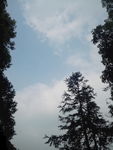 蓝天