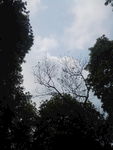 蓝天