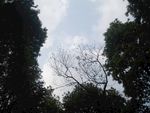 蓝天
