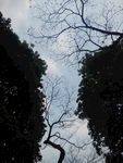 蓝天