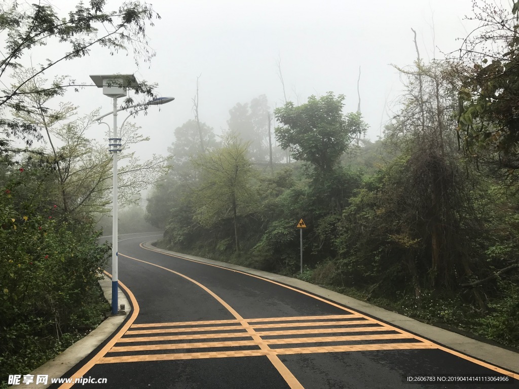 路灯与柏油路