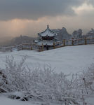 崂山
