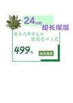 文字排版