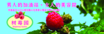 红莓
