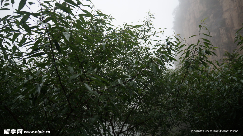 藏山