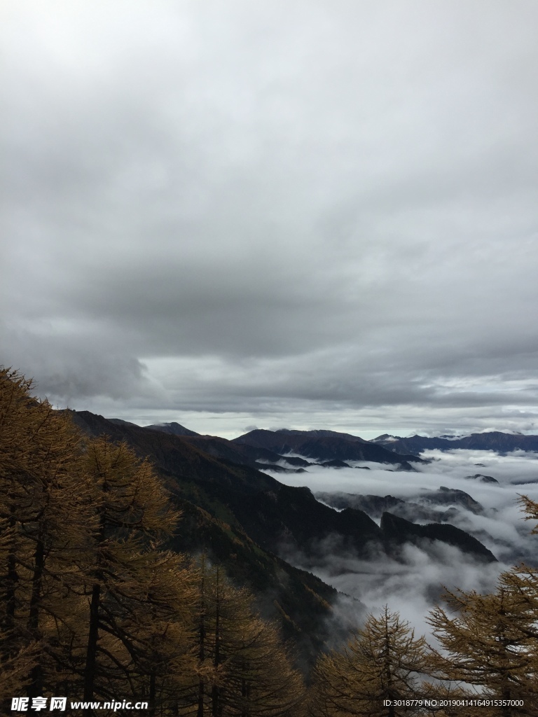 太白山云海