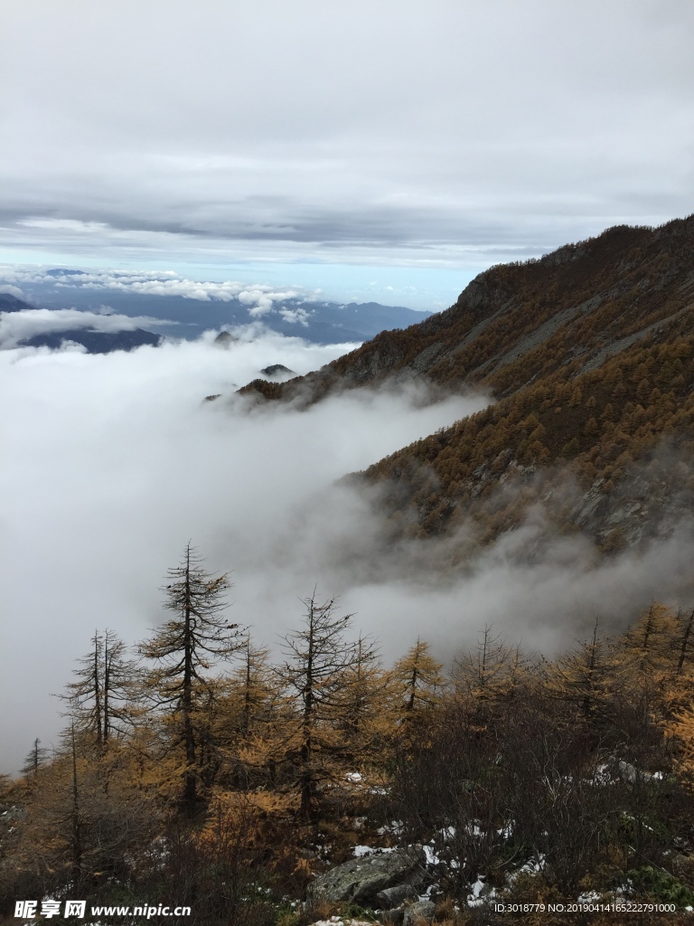 太白山云海