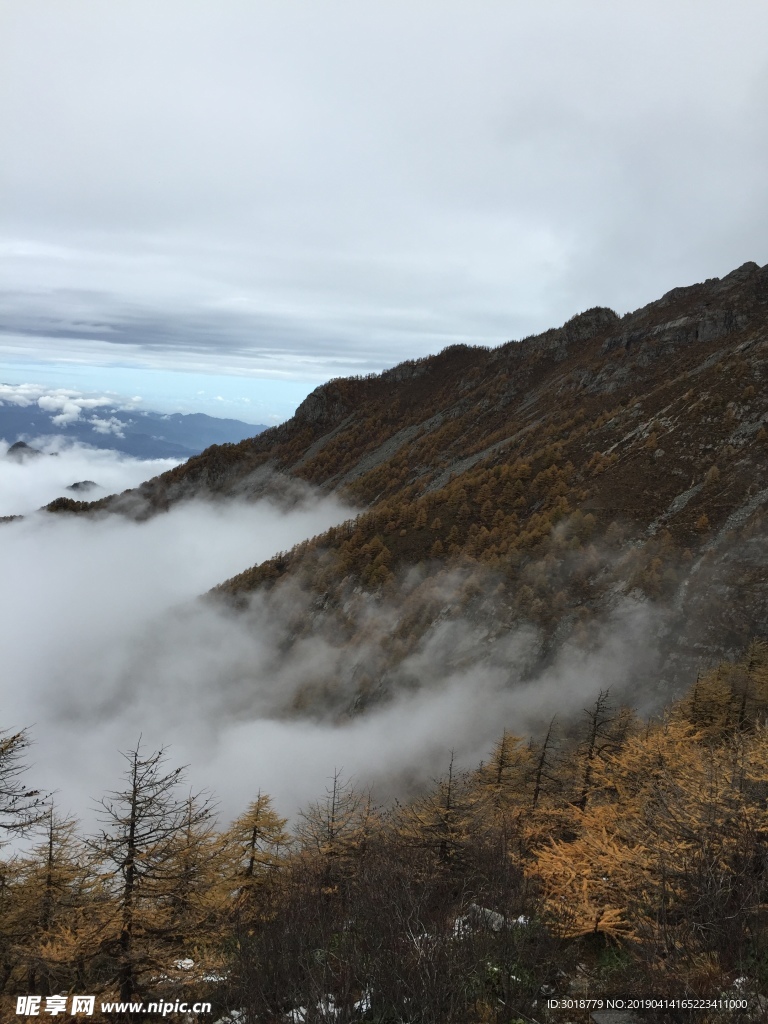 太白山云海