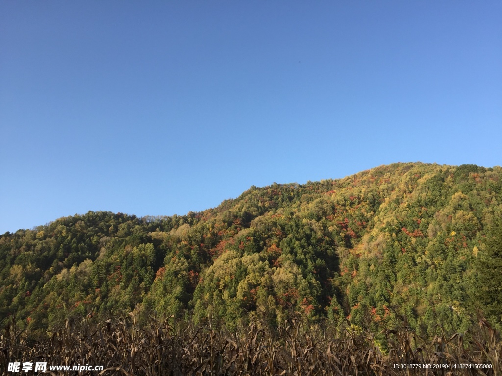 太白山