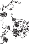 欧美花纹