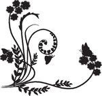 欧美花纹