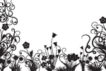 欧美花纹