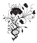 欧美花纹