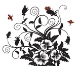 欧美花纹