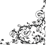 欧美花纹