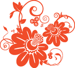 欧美花纹