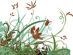 欧美花纹