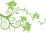 欧美花纹