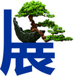 盆景素材  盆景展览  展示