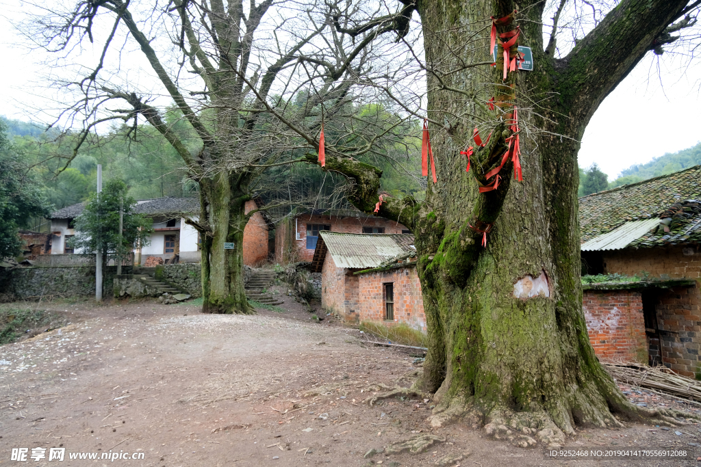 官塘驿老虎岩村