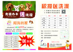 宠物店开业宣传活动