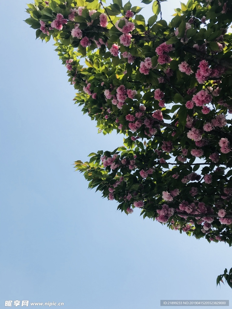 天空
