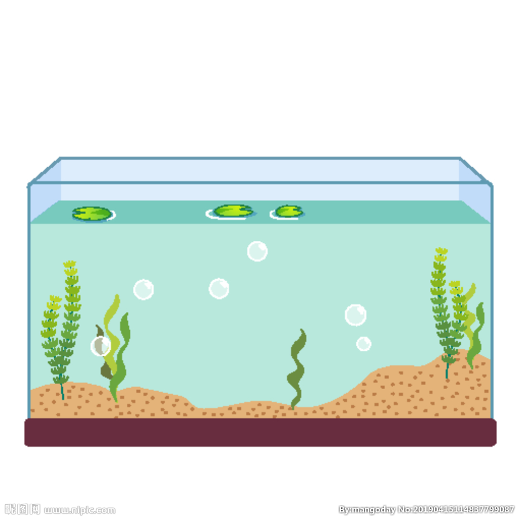 卡通鱼缸海藻气泡