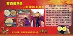 阿克苏苹果
