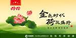 绿色荷花主画面